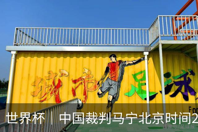 世界杯｜中国裁判马宁北京时间21日登场任主裁