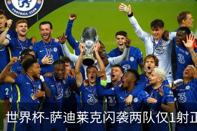 世界杯-萨迪莱克闪袭两队仅1射正 捷克半场暂1-0南非
