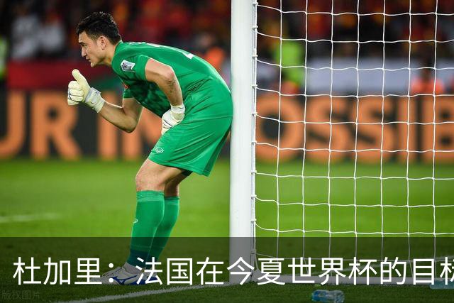 杜加里：法国在今夏世界杯的目标就是夺冠，如果没赢就是失败